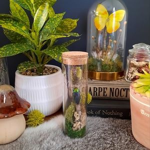 Real Beetle in Glass Vile Oddity